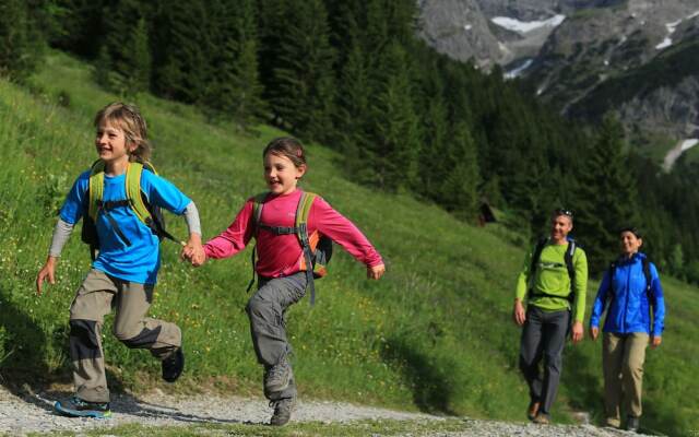ALP-CHALET Ferienwohnungen Kleinwalsertal