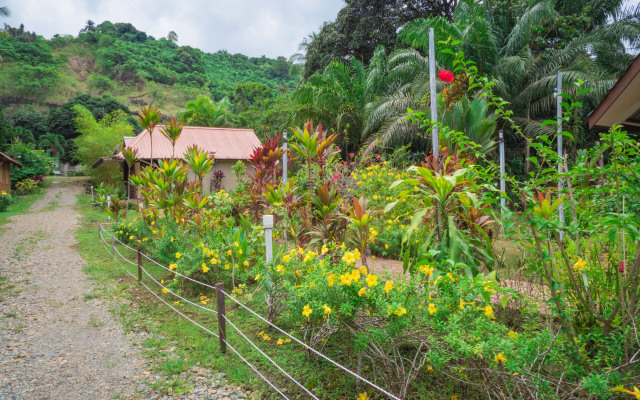 Timba Garden Semporna Free Town / Jetty Transport