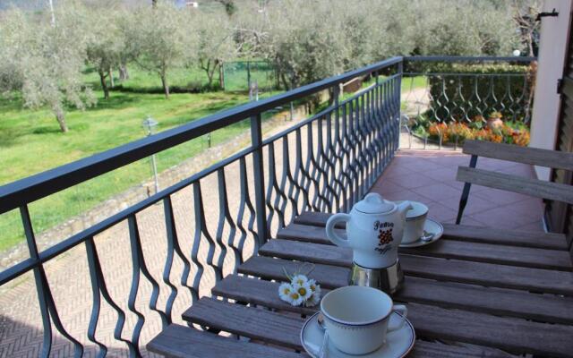 Le Coccole Del Trasimeno