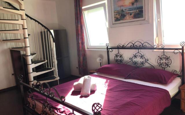 Apartment Zoran Pošesi