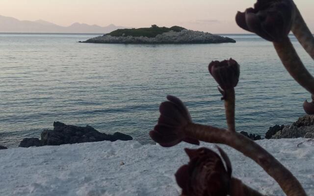 Floreica Studio By The Sea