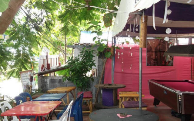 The zoo bar & hostel