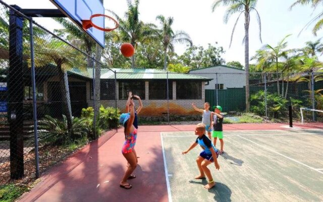 Koala Shores Port Stephens Holiday Park