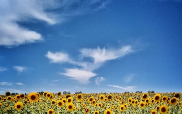 Agriturismo Casa Greppo - Il Mandorlo