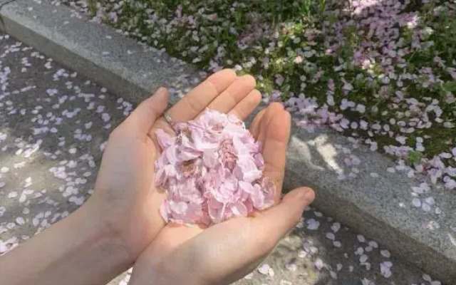 Nanolan Hotel, Batang