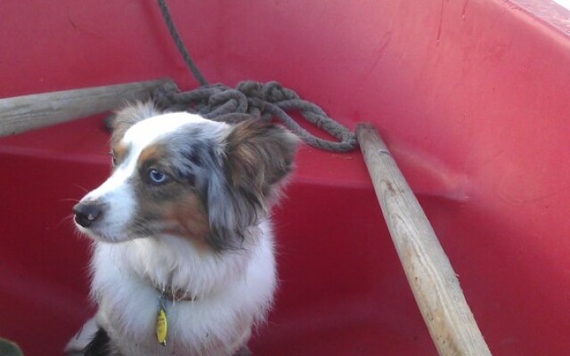 Telemark Camping & Inn-Campground Cabins