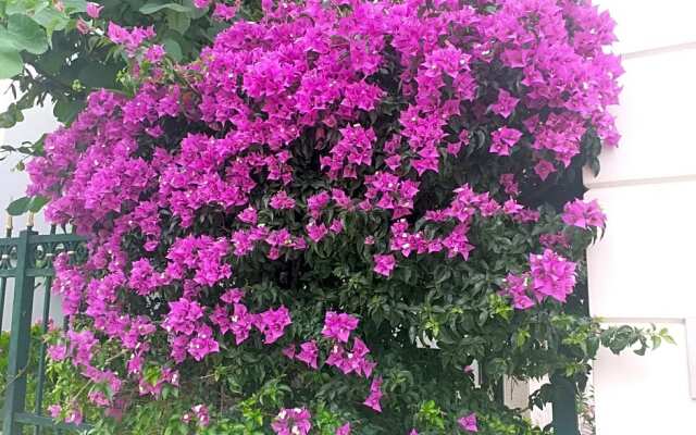 Falli Exclusive Rooms And Breakfast