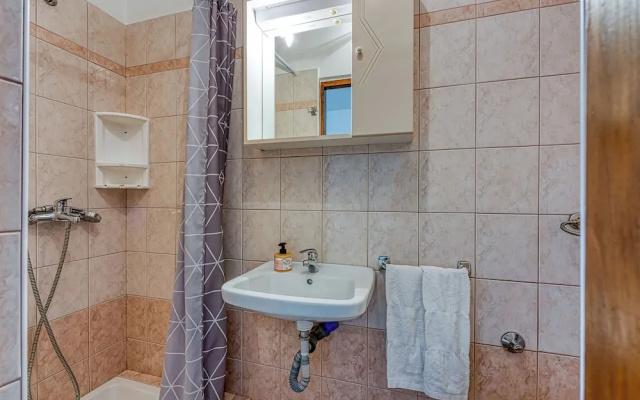 Apartment Napoleon