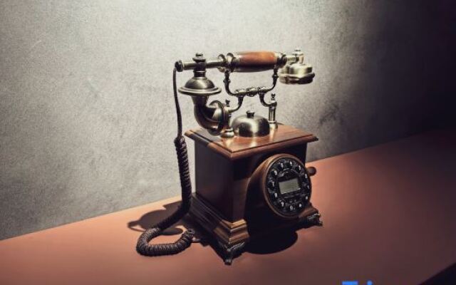 The Purple Horse（the Forbidden City，Tiananmen）