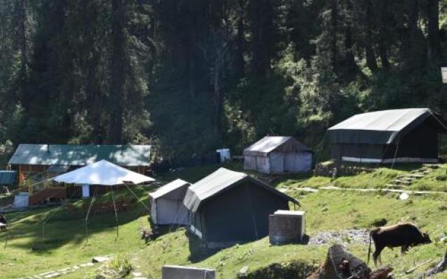 Nature Camp Forest Corporation