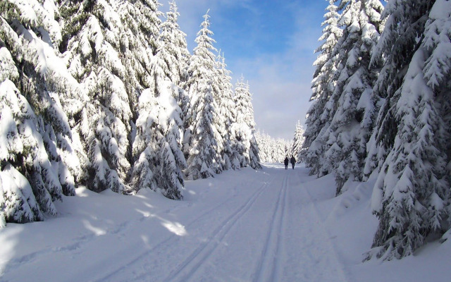 Wagners Sporthotel Oberhof