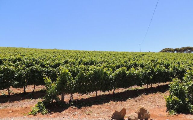 Camu-Camu Bed and Breakfast