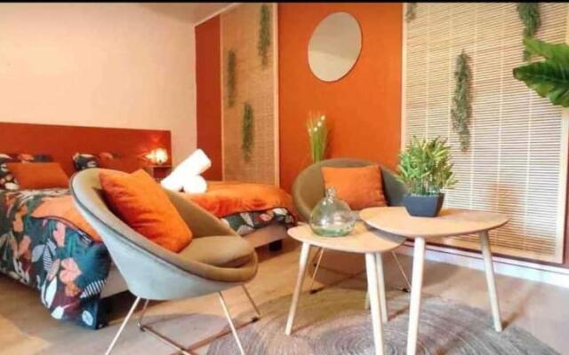 Studio Terracotta rénové B5