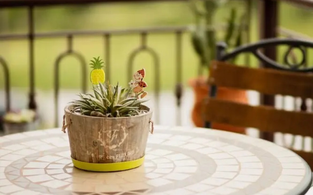 Zeusplace Fenias Nest House