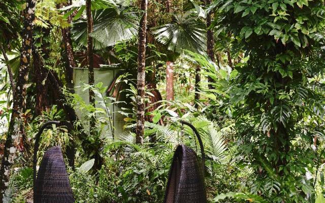 Daintree Ecolodge