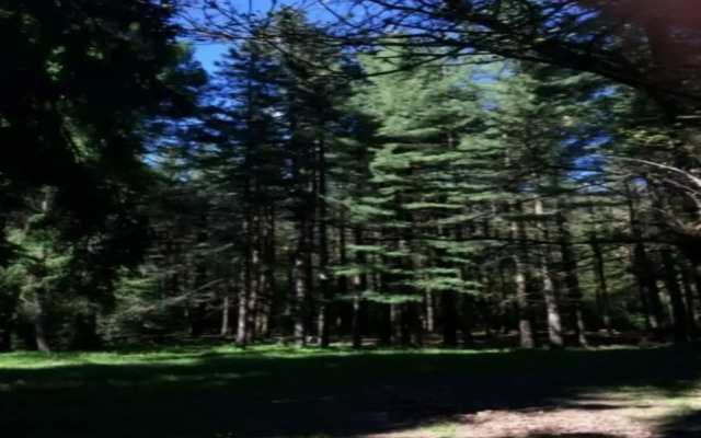 Baita Immersa Nel Verde