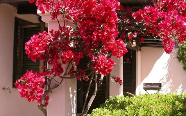 Casa Mare B&B da Lia