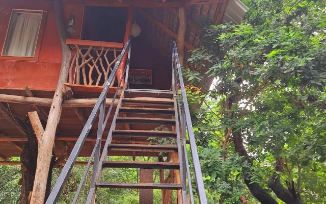 Bed & Bicycle Hostel Dambulla