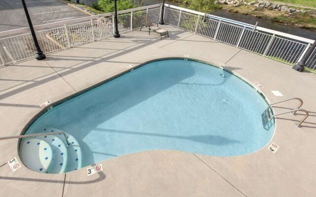 Bear Crossing by VTrips