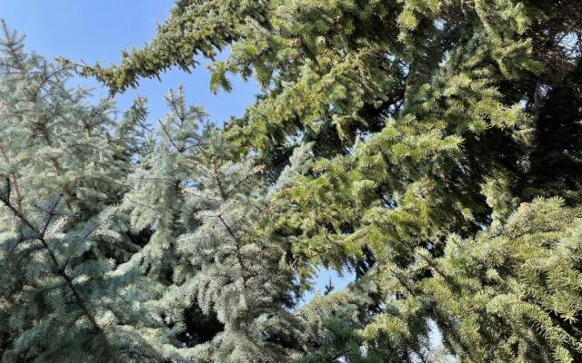 Bungalow Garni Guesthouse