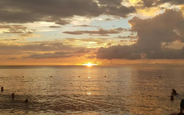 Apartamentos Freddy's Tours