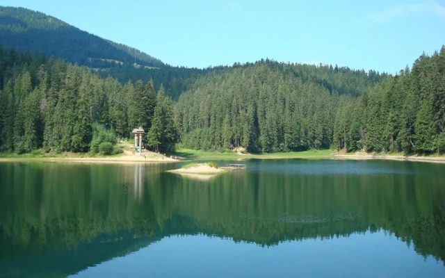 Hotel Forward Pool&Sauna