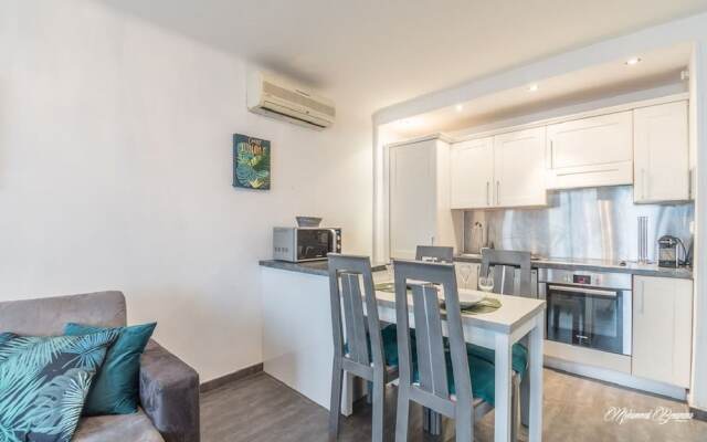 Cannes Vidal Apartment