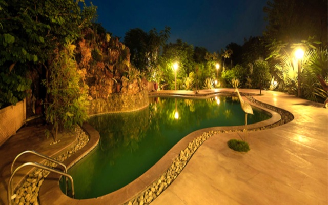 The Tree House Resort