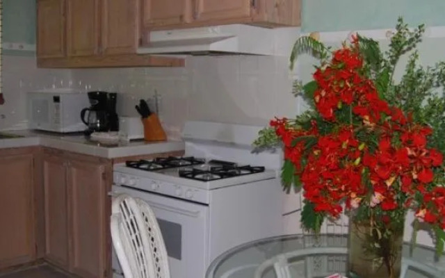 The Sugar Apple B & B