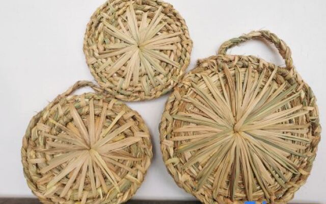 Ruralation MO⁺ Co-living Retreat, Chenjiapu,Songyang