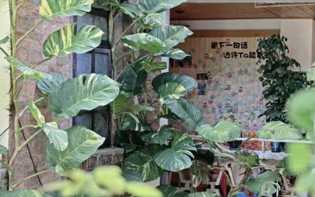 Beihai Haihe Homestay (Old Street Shop)