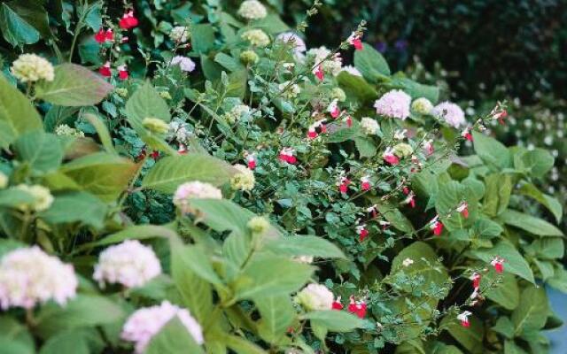 Luxury Architect Designed House