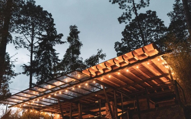 Almendra Incredible Lodge in the Forest With Private Jacuzzi