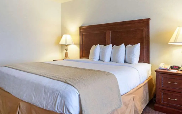 Quality Inn & Suites