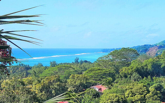 Albizia Lodge Reef Estate