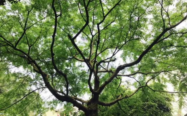 hangzhou YuanJuHouse