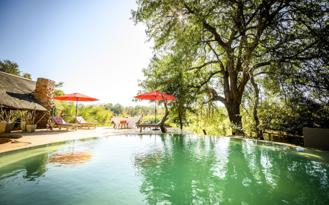 Toro River Lodges Big 5 Exclusive Safari