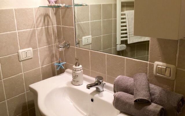 Under the Cherry Moon