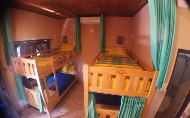Amel Homestay