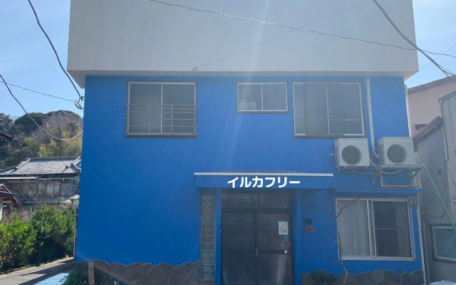 海豚自由 イルカフリー Free dolphin