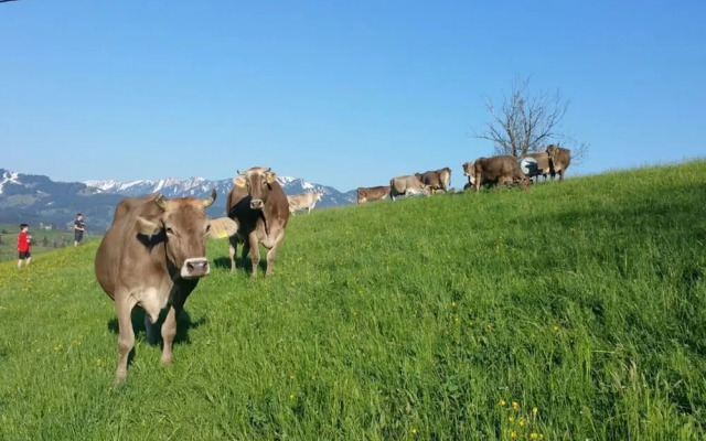 Nice Apartment in St. Maergen