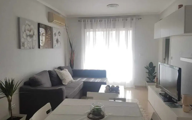 Homely Apartments Viña Laguna