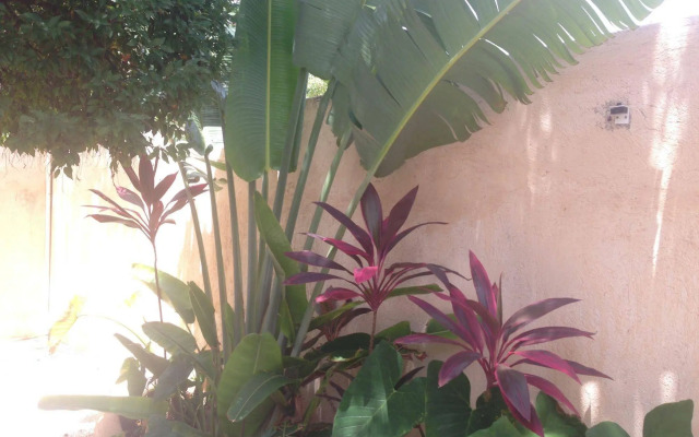Villas Colibri Tulum