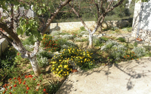 Brane - 180m to the sea - A1