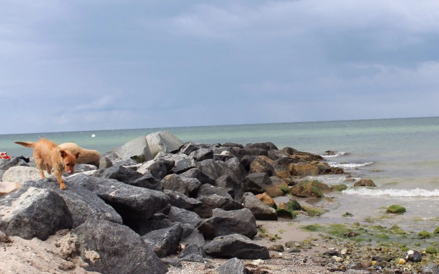 ❤️ Kleine Auszeit ❤️