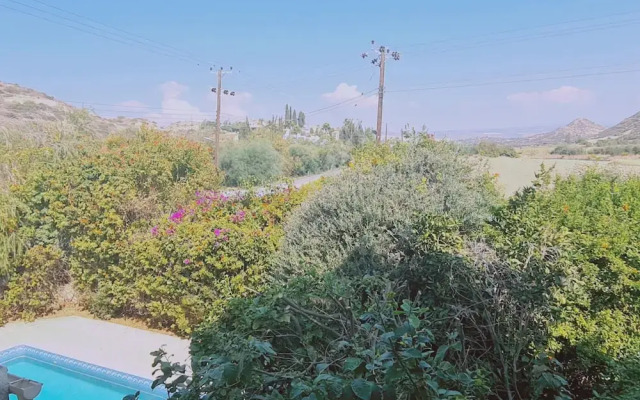 22 PSR - Stay Villa Michalis