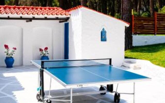 Sani Beach Forest Villa