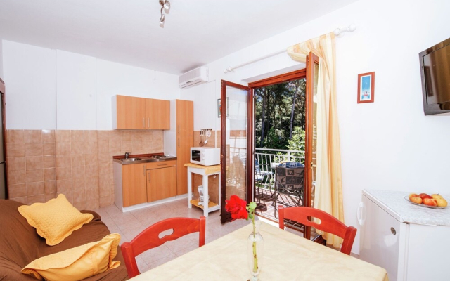 Sun Filled Apartment in Pakostane Dalmatia With Garden