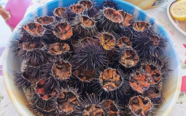 Made in Sicily Santa Tecla