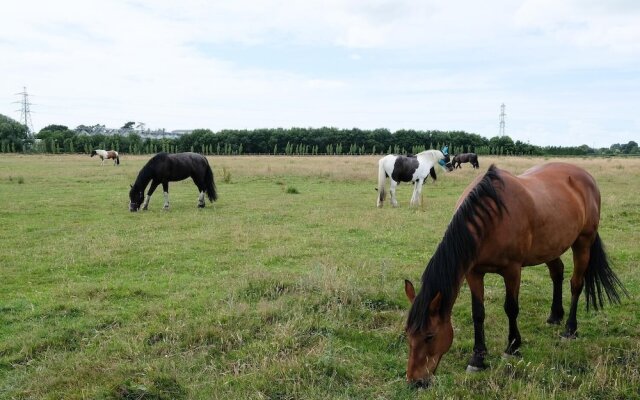 Willowbrook Riding Centre